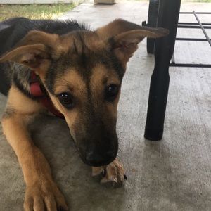 Meet your Posher, Kim